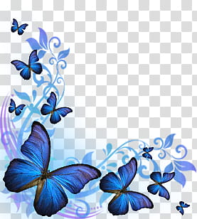 Butterflies (background ), purple-and-blue butterfly illustration transparent background PNG clipart