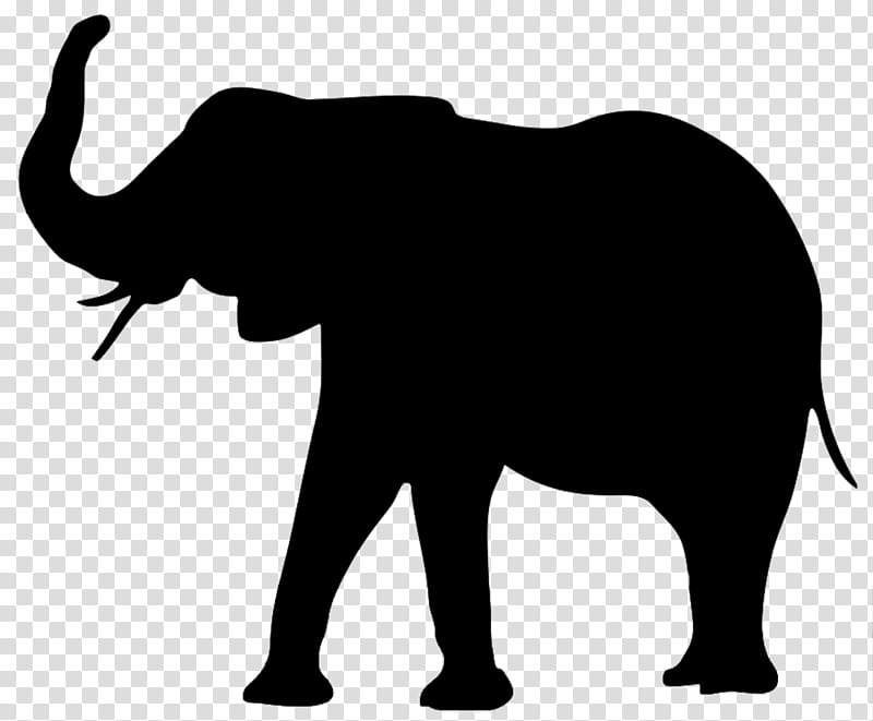 Elephant, Silhouette, African Bush Elephant, Indian Elephant, Animal, Asian Elephant, African Elephant, Black transparent background PNG clipart