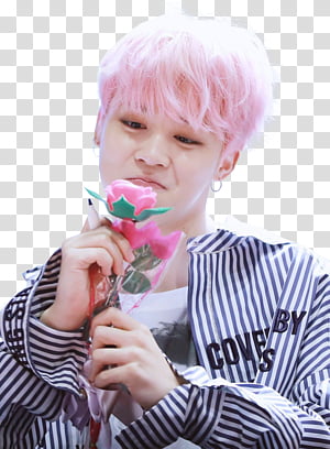 Jimin, Bts, Cabelo png transparente grátis