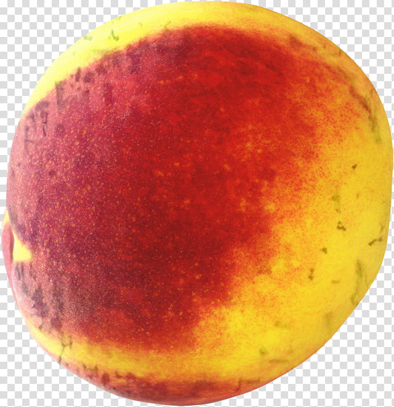 Fruit, Peach, Clausena Lansium, Food, Plum, Nectarine, Avocado, Compote transparent background PNG clipart