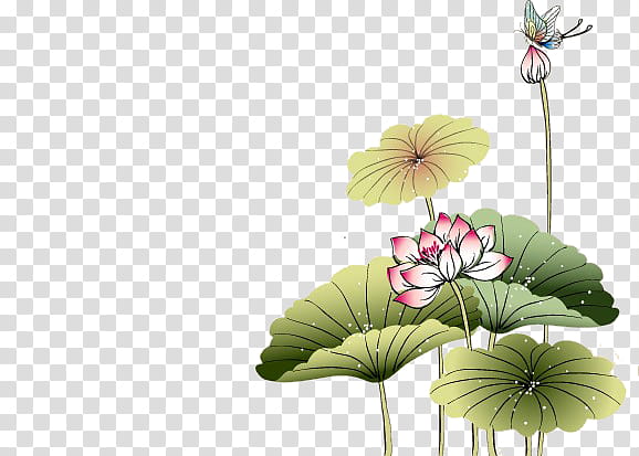 Chinese style s, pink petaled flower illusyration transparent background PNG clipart