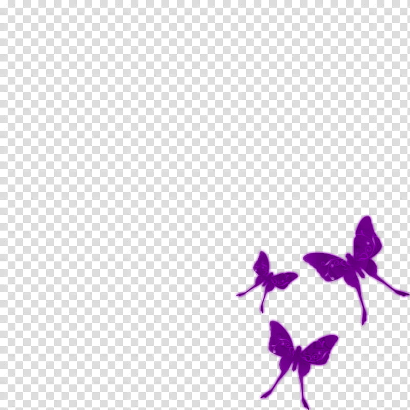 Recursos de ChiHoon y Shin Yeong, three purple butterfly transparent background PNG clipart