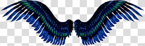 Wings transparent background PNG clipart thumbnail