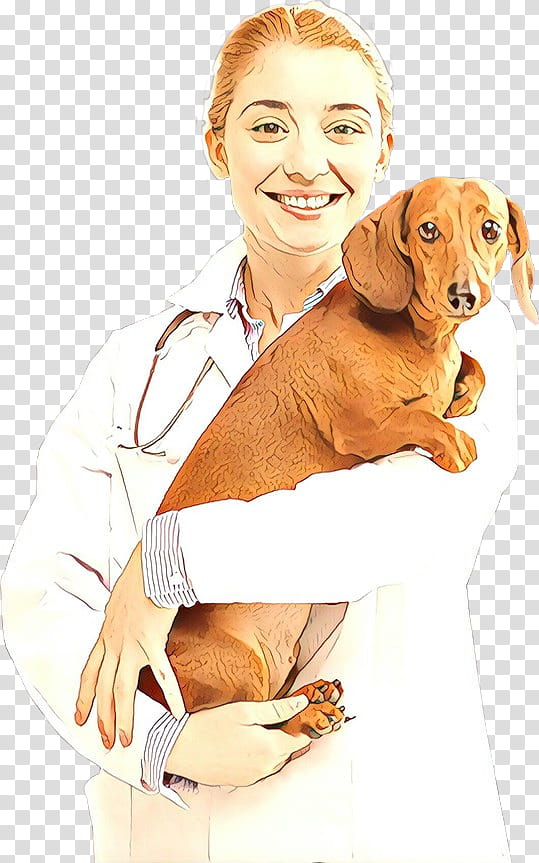 dog dachshund dog breed hound companion dog, Cartoon, Ear, Vizsla, Sporting Group transparent background PNG clipart