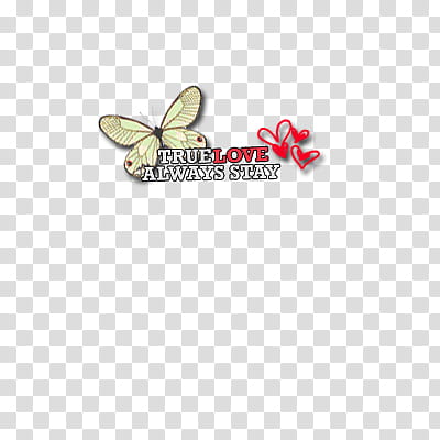 LOVE LOVE LOVE text, True Love Always Stay logo transparent background PNG clipart