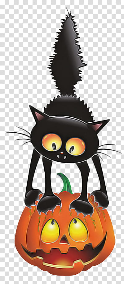 Pumpkin, Cat, Black Cat, Small To Mediumsized Cats, Trickortreat, Whiskers, Cartoon, Plant transparent background PNG clipart