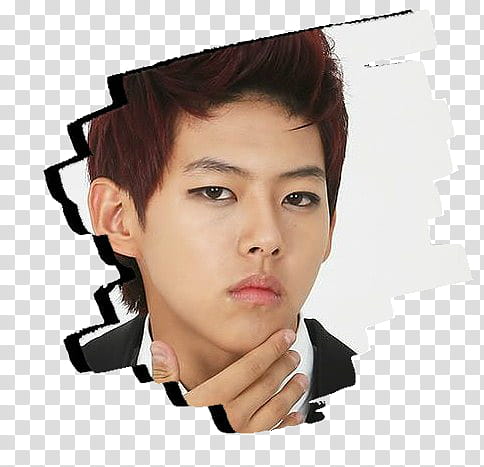 DongHo transparent background PNG clipart