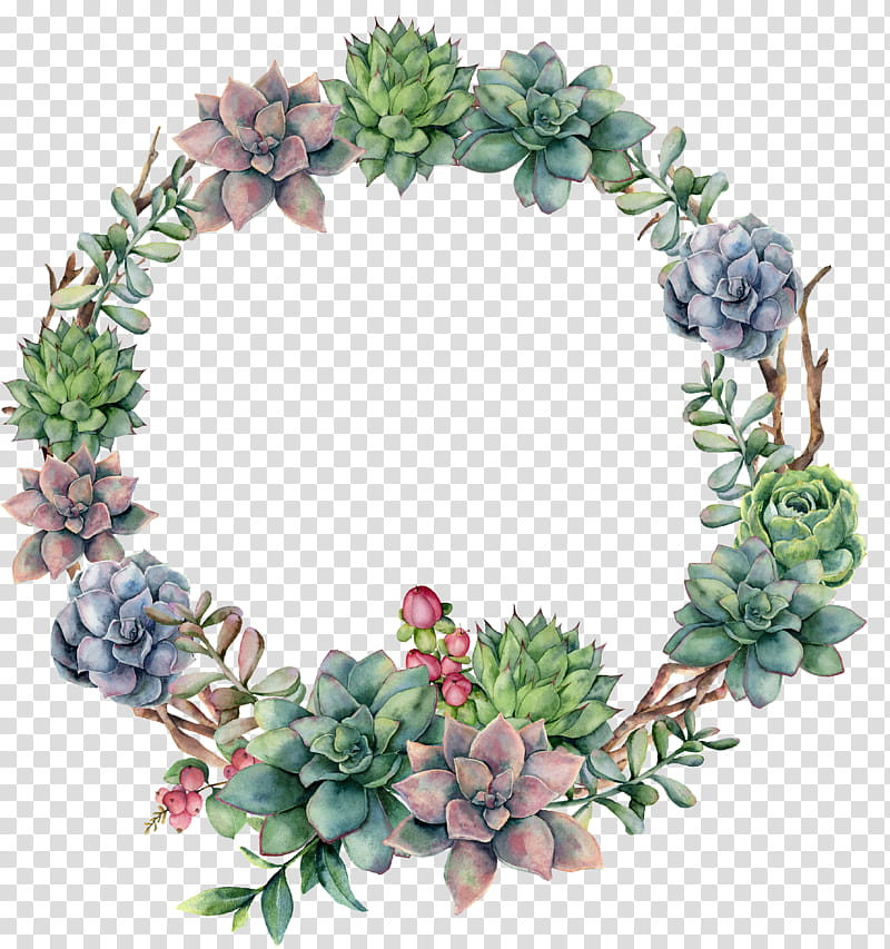 Watercolor Christmas Wreath, Succulent Plant, Watercolor Painting, , Cactus, Flower, Art, Leaf transparent background PNG clipart
