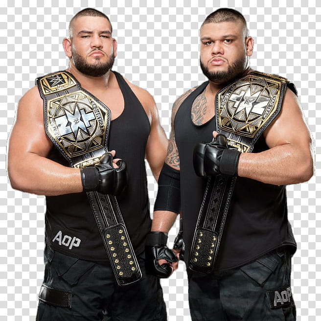 AOP NXT Tag Team Champions  NEW transparent background PNG clipart