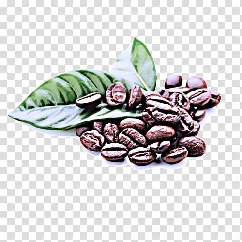 cocoa bean jamaican blue mountain coffee bean caffeine food, Java Coffee, Plant, Superfood transparent background PNG clipart