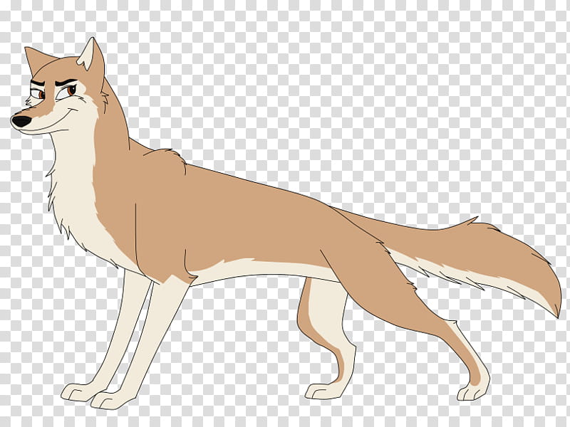 Singing, Dog Breed, RED Fox, Dingo, Aleu, Jackal, Art, Finches transparent background PNG clipart