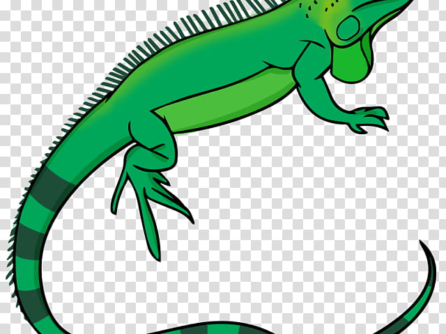 Reptile Reptile, Lizard, Green Iguana, Chameleons, Frilledneck Lizard, Blue Iguana, Gecko, Drawing transparent background PNG clipart