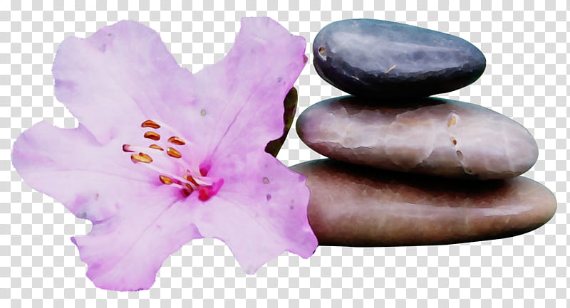 Purple Watercolor Flower, Paint, Wet Ink, Medicine, Meditation, Health, Research, Doctor Of Medicine transparent background PNG clipart