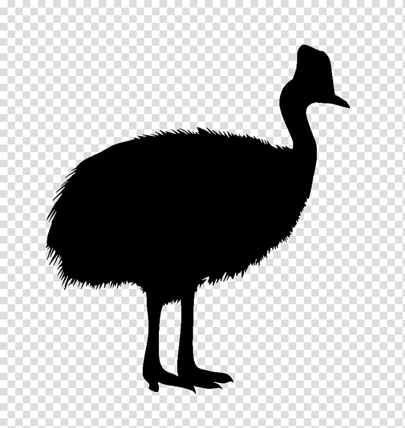 Bird Silhouette, Common Ostrich, Southern Cassowary, Northern Cassowary, Goose, Emu, Ostriches, Horse transparent background PNG clipart