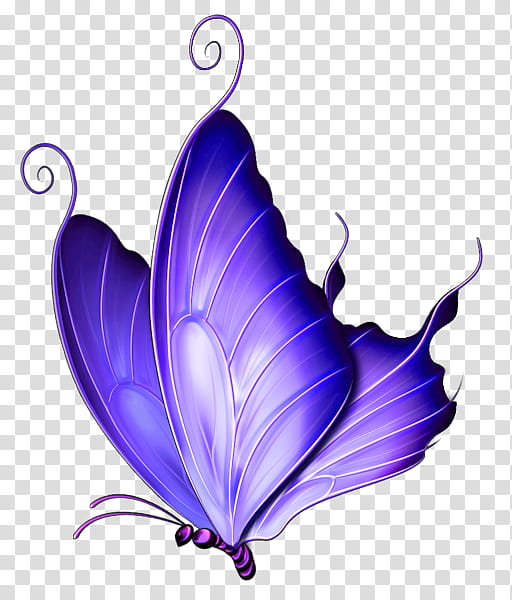 blue and purple butterfly transparent background PNG clipart