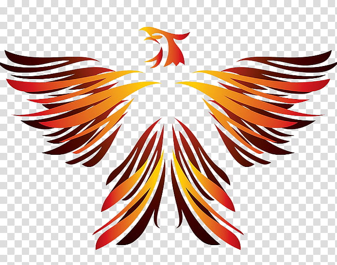 Phoenix Bird transparent background PNG cliparts free download | HiClipart