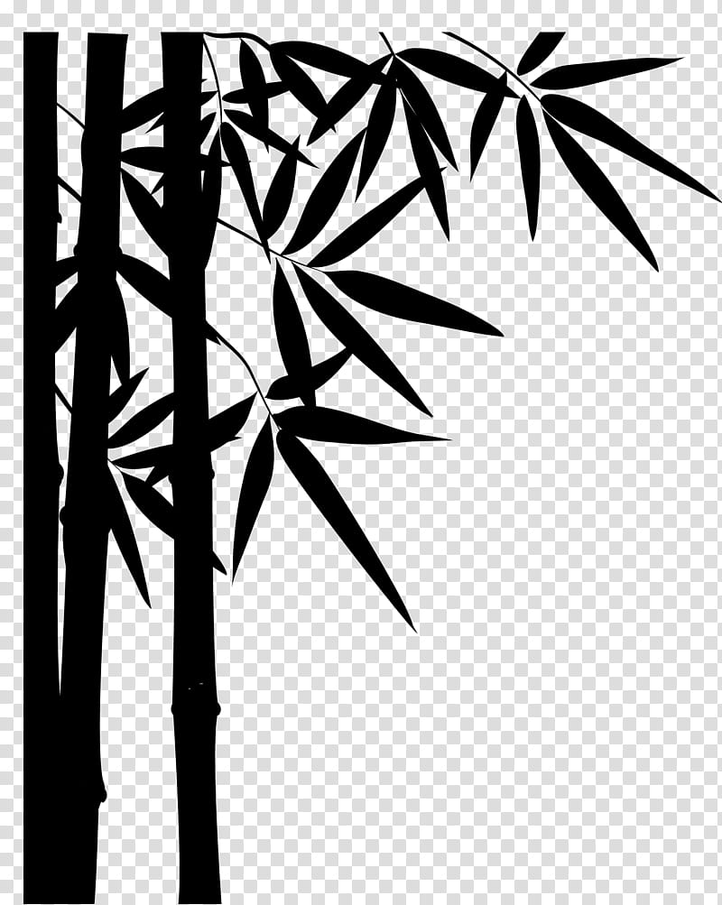 Palm Tree Drawing, Tropical Woody Bamboos, Bambuseae, Giant Panda, Palm Trees, Painting, Charcoal, Tropics transparent background PNG clipart