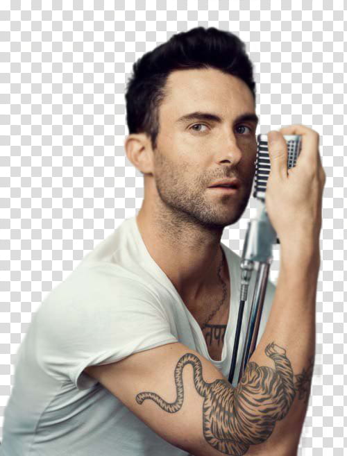 Adam Levine transparent background PNG clipart