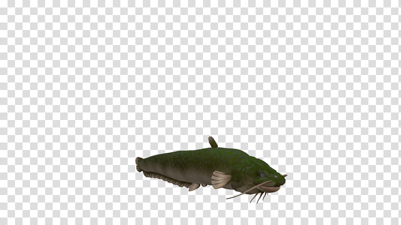 SPORE creature: Wels Catfish transparent background PNG clipart