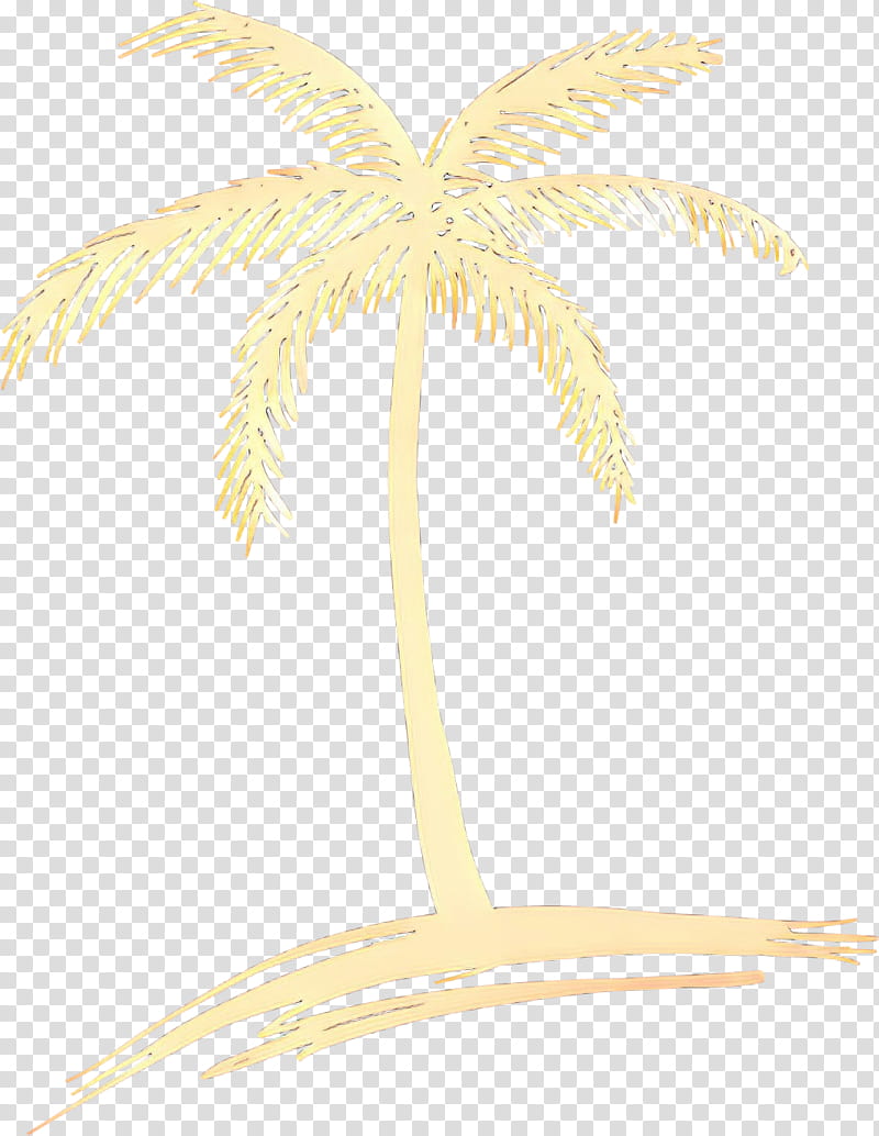 Date Tree Leaf, Palm Trees, Plants, Coconut, Sabal Palm, Date Palm, Palm Sunday, Houseplant transparent background PNG clipart
