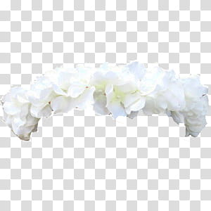 Crowns PcssMdnss, white flower transparent background PNG clipart