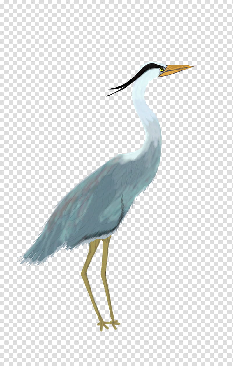 Picsart, Heron, Great Egret, Bird, Great Blue Heron, Pelican, Little Blue Heron, Water Bird transparent background PNG clipart
