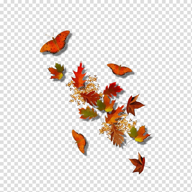 Watercolor Background Autumn Frame, Paint, Wet Ink, Butterfly, Autumn Leaf Color, Film Frame, Orange, Moths And Butterflies transparent background PNG clipart
