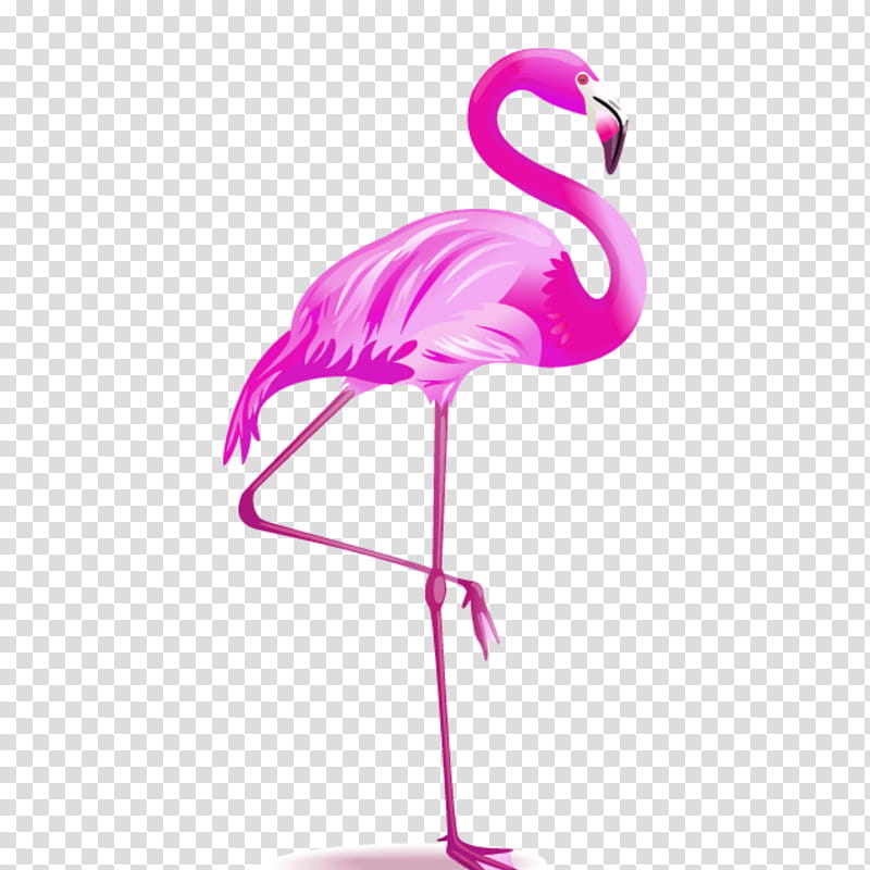 Pink Flamingo, Drawing, Bird, Greater Flamingo, Water Bird, Beak, Magenta, Neck transparent background PNG clipart