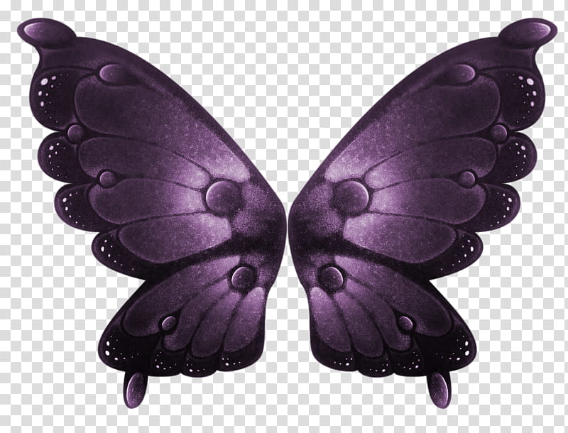 Object Wings , black butterfly transparent background PNG clipart