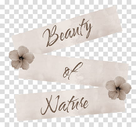 Naturistic Expressions II, beauty of nature transparent background PNG clipart