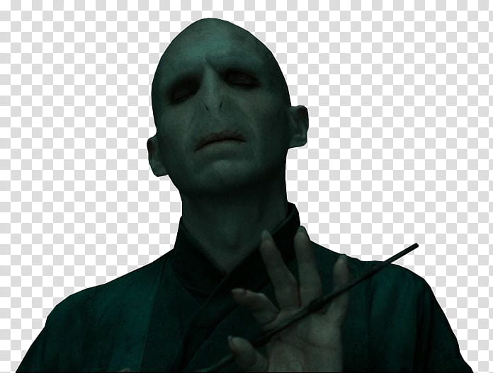 Voldemort, Harry Potter transparent background PNG clipart