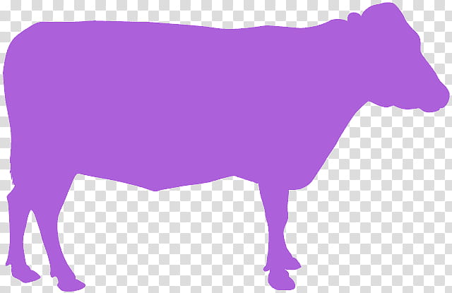 purple violet bovine snout live, Live, Dairy Cow, Silhouette transparent background PNG clipart