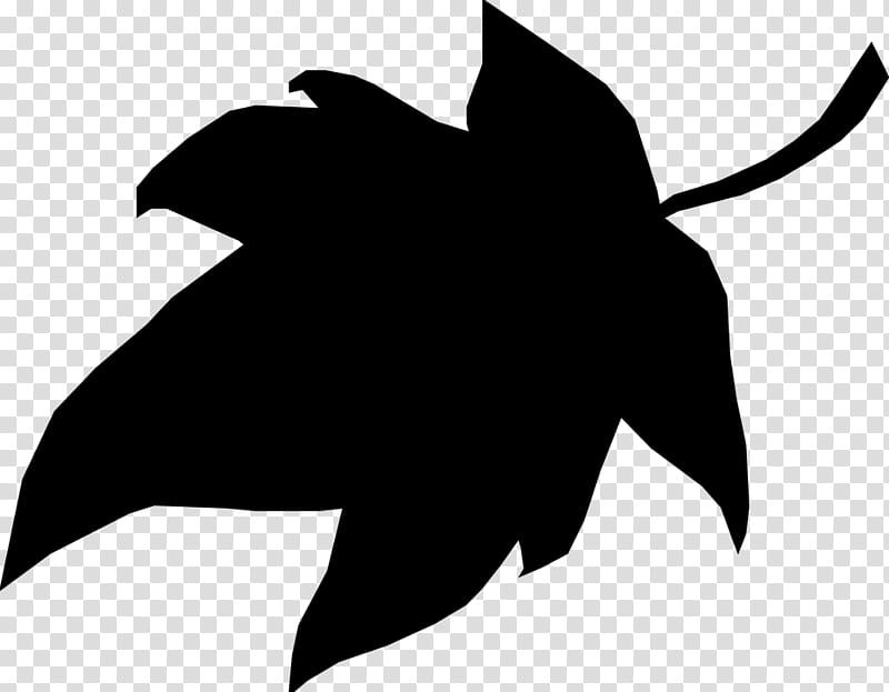 Black And White Flower, Dolphin, Killer Whale, Whales, Silhouette, Sea, Fish, Tail transparent background PNG clipart