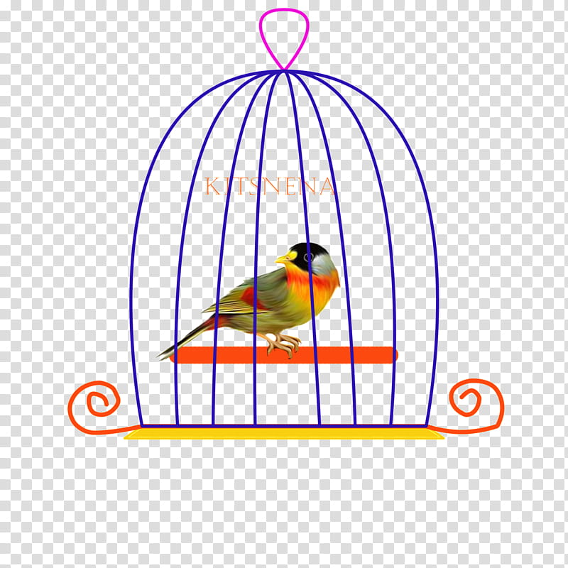 Bird Cage, Macaw, Beak, Line, Bird Supply, Parrot, Pet Supply transparent background PNG clipart