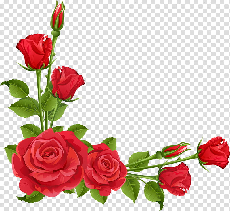 Pink Flower, BORDERS AND FRAMES, Rose, Floral Design, Pink Flowers, Garden Roses, Red, Cut Flowers transparent background PNG clipart