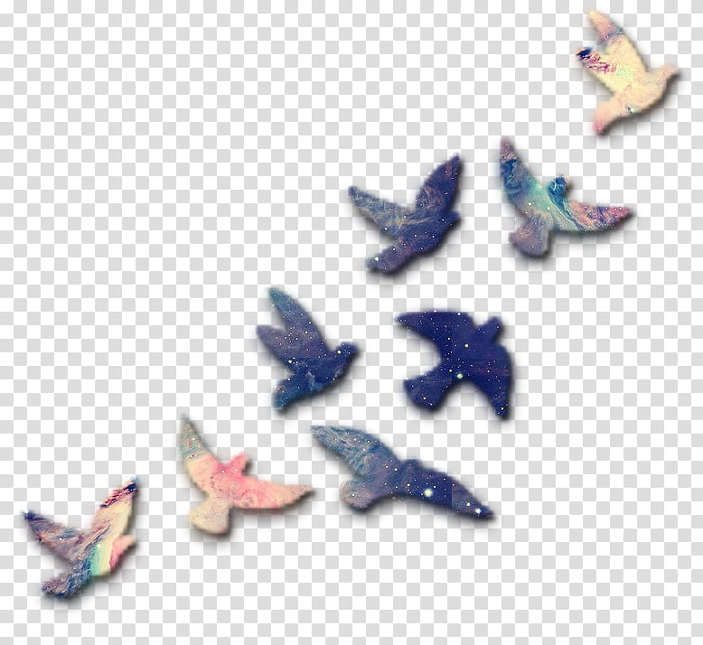 Hipster, birds flying illustration transparent background PNG clipart
