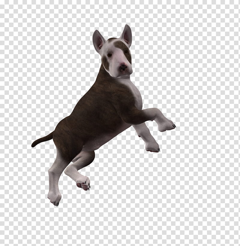 Puppy , tan and white American Pit Bull Terrier puppy transparent background PNG clipart