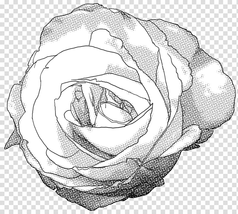 Rose Screentone , rose illiustration transparent background PNG clipart