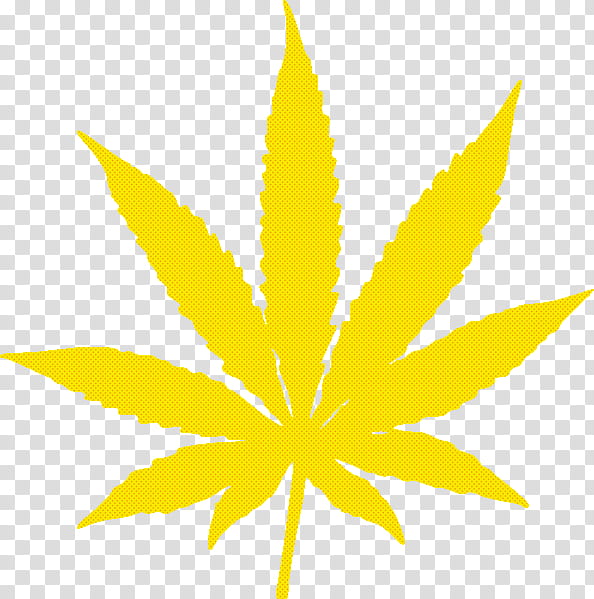 leaf yellow plant tree hemp family, Flowering Plant, Symmetry transparent background PNG clipart