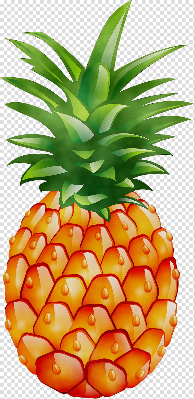 Food, Pineapple, Logo, Strawberry, Squad, Local Food, Ananas, Natural Foods transparent background PNG clipart