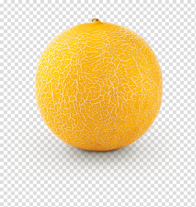 Orange, Fruit, Muskmelon, Yellow, Citrus, Valencia Orange, Plant, Tangelo transparent background PNG clipart