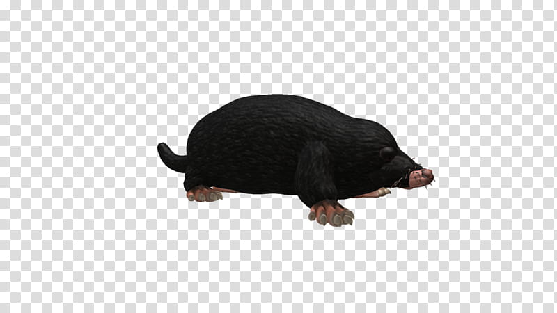 SPORE creature: Mole transparent background PNG clipart
