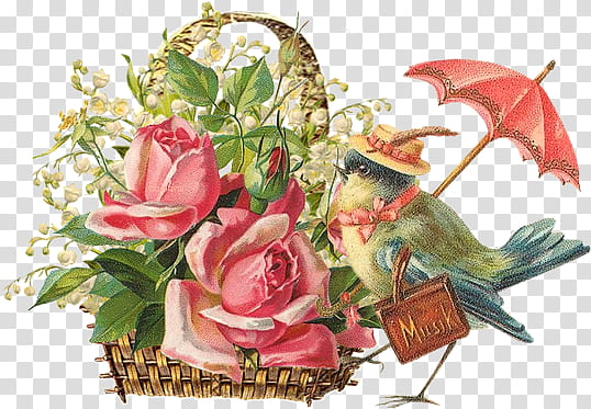 Vintage flower , pink roses and bird illustration transparent background PNG clipart