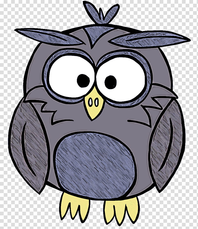 owl cartoon bird bird of prey eastern screech owl transparent background PNG clipart