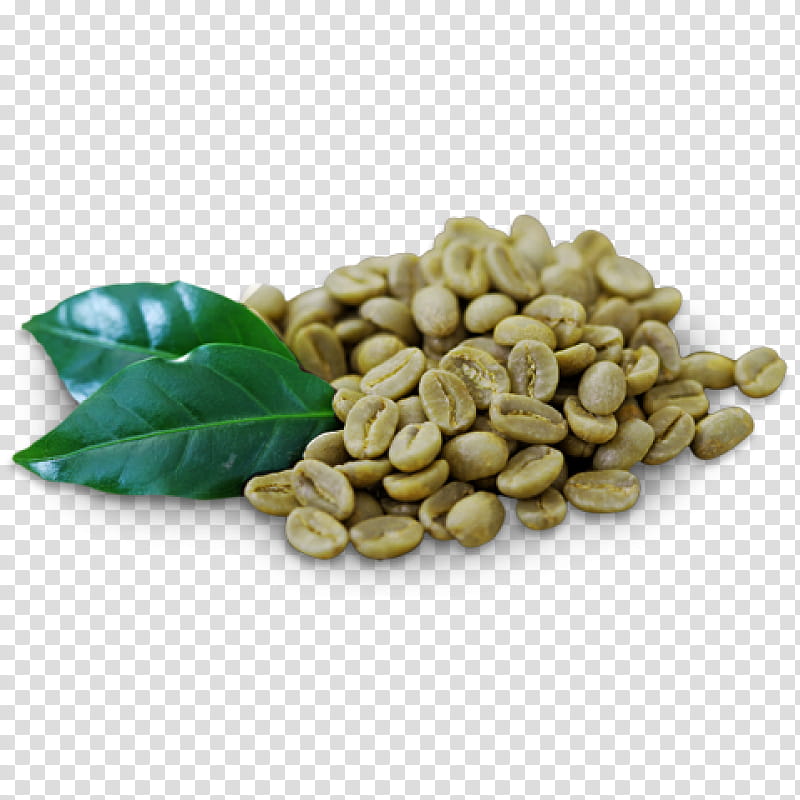 Mountain, Coffee, Green Coffee, Coffee Bean, Green Coffee Extract, Tea, Arabica Coffee, Coffee Roasting transparent background PNG clipart