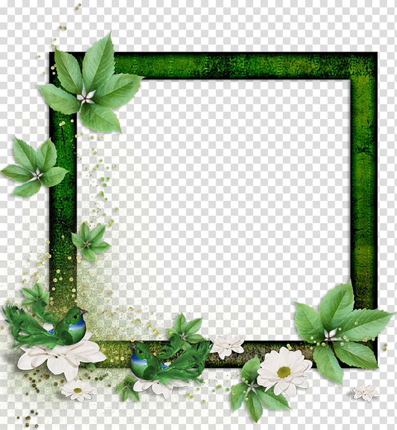 Background Design Frame, BORDERS AND FRAMES, Bobux, Bobux Iwalk Play Lo Dimension Shoe, Drawing, Spring
, Frame, Ivy transparent background PNG clipart