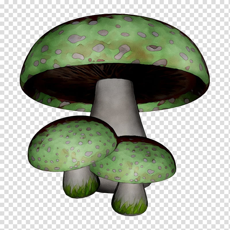 Mushroom, Fungus, Green, Edible Mushroom, Common Mushroom, Green Flash, Drawing, transparent background PNG clipart