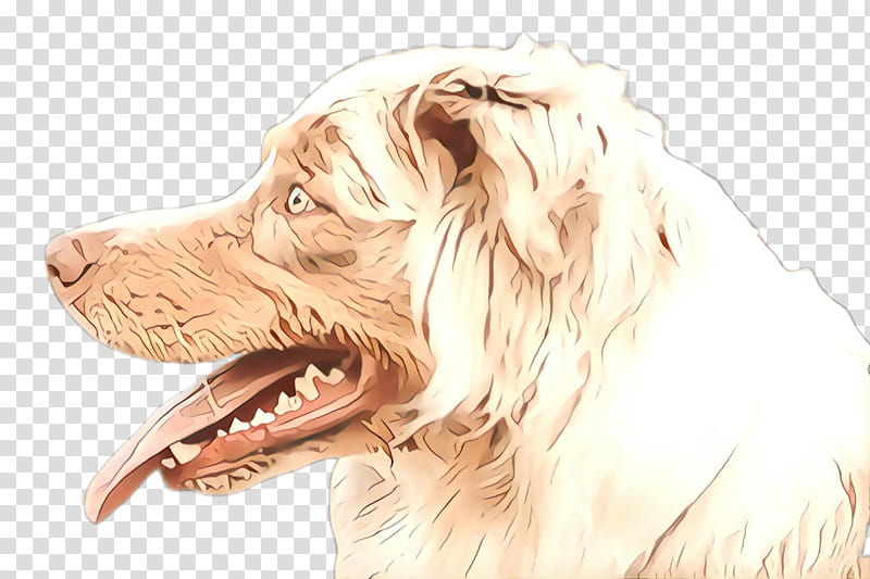 dog dog breed sporting group companion dog setter, Cartoon, Rare Breed Dog, Spaniel, Drawing transparent background PNG clipart