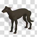 Spore creature Whippet dog , black dog standing art transparent background PNG clipart