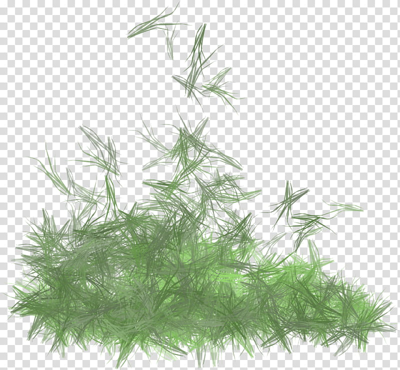 Cartoon Grass, Aquarium, Tree, Herb, Plant, Aquarium Decor transparent background PNG clipart